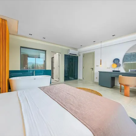 Villa Vizo 费特希耶