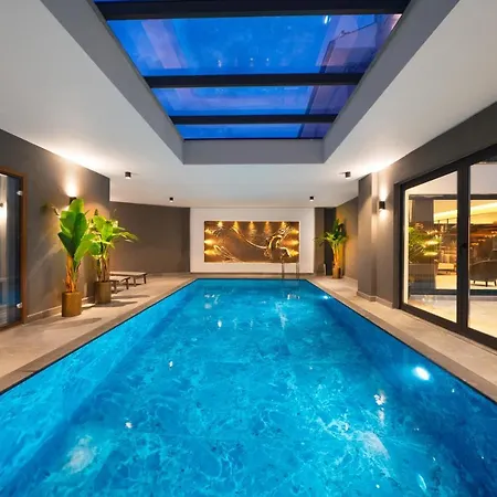 Villa Vizo 费特希耶